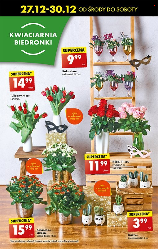 Gazetka Biedronka - 27.12.2023 - 3.01.2024. Strona 23