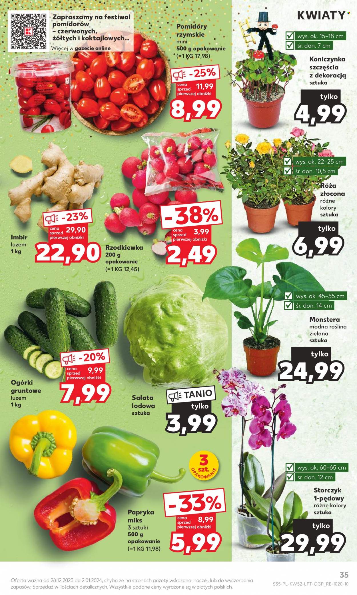 Gazetka Kaufland - 28.12.2023 - 2.01.2024. Strona 35
