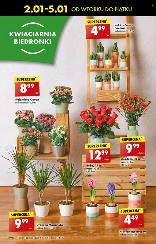 Gazetka Biedronka - 2.01.2024 - 5.01.2024. Strona 22