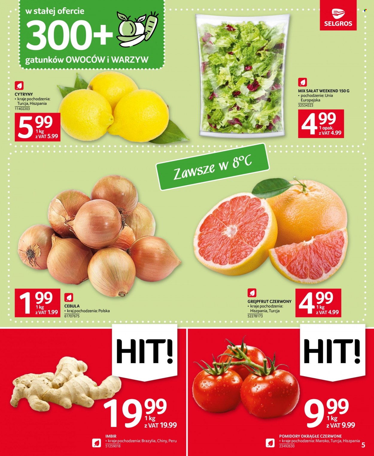 Gazetka Selgros - 4.01.2024 - 17.01.2024. Strona 5