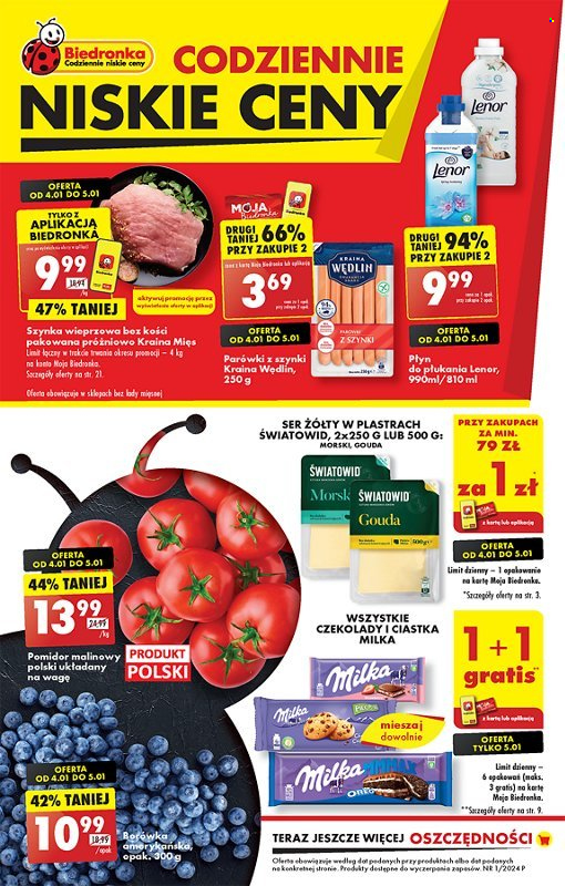 Gazetka Biedronka - 4.01.2024 - 10.01.2024. Strona 1