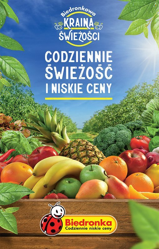 Gazetka Biedronka - 4.01.2024 - 10.01.2024. Strona 19