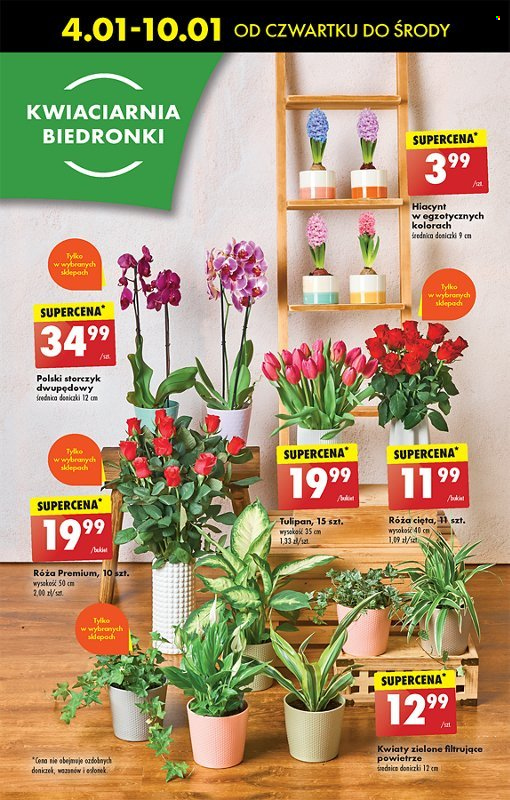 Gazetka Biedronka - 4.01.2024 - 10.01.2024. Strona 63