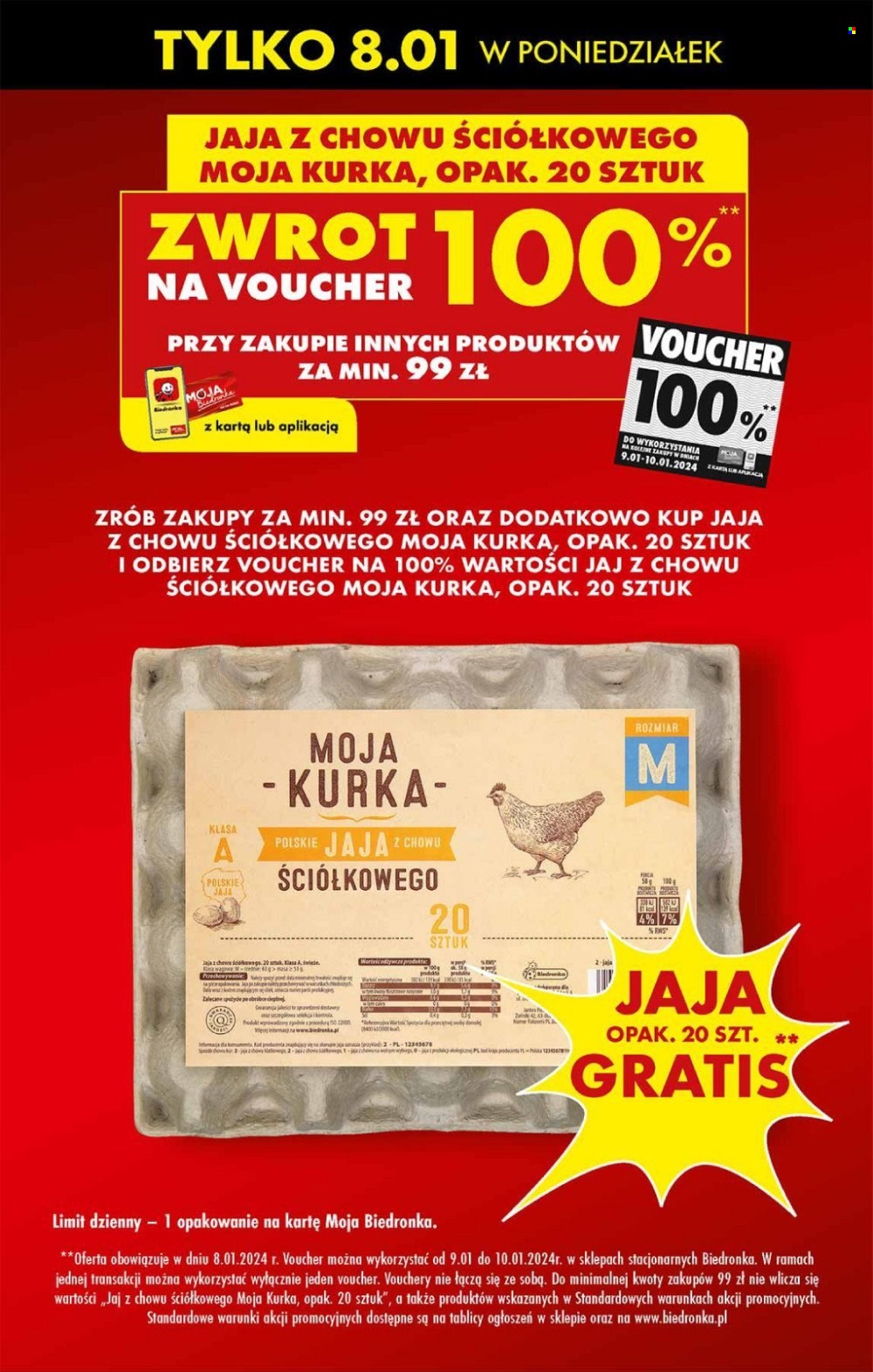 Gazetka Biedronka - 8.01.2024 - 13.01.2024. Strona 3