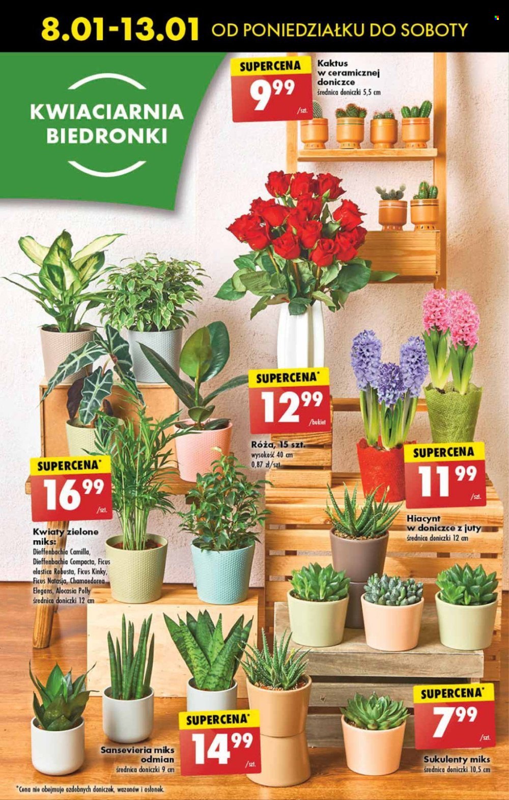 Gazetka Biedronka - 8.01.2024 - 13.01.2024. Strona 16