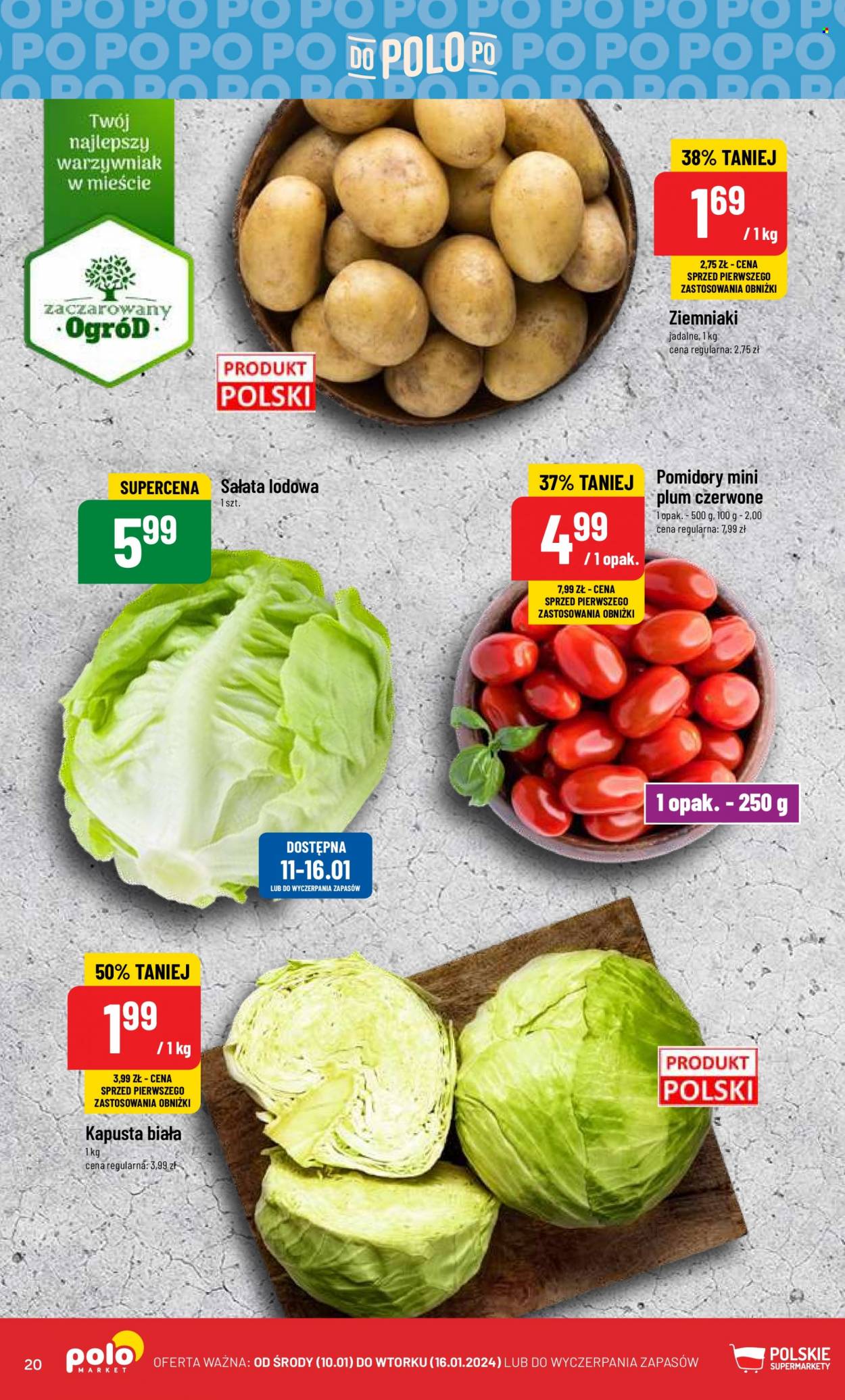 Gazetka Polomarket - 10.01.2024 - 16.01.2024. Strona 20