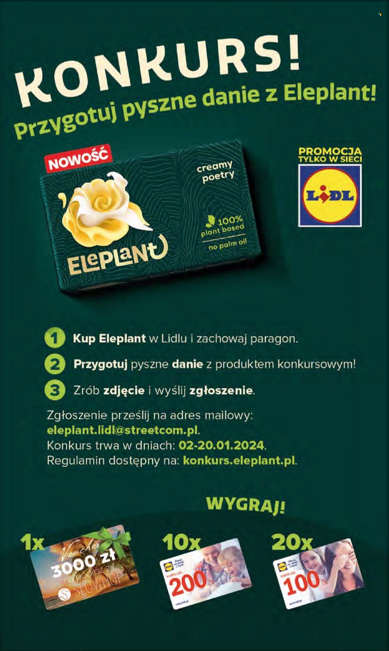 Gazetka Lidl - 11.01.2024 - 13.01.2024. Strona 33