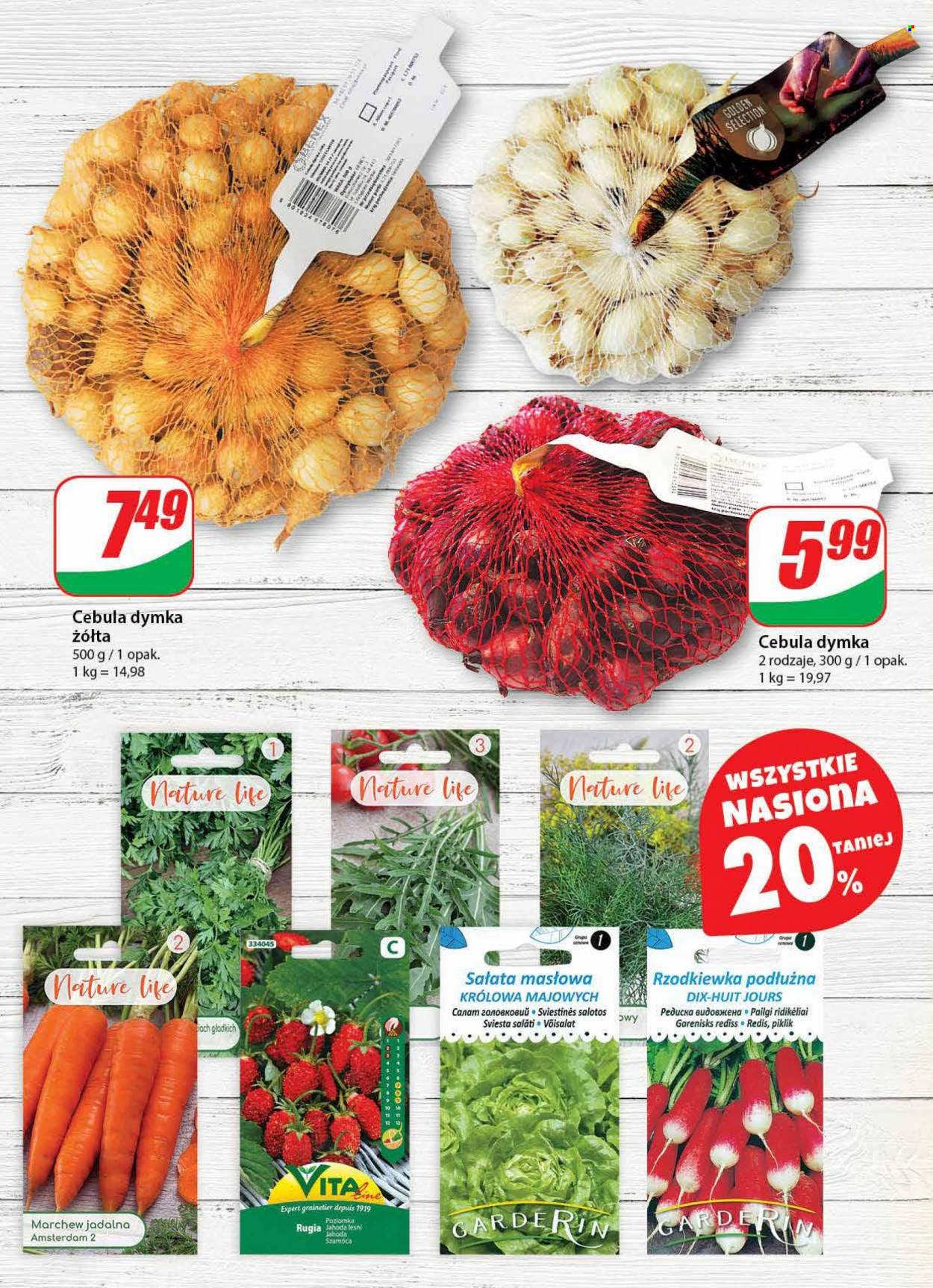 Gazetka Dino - 10.01.2024 - 16.01.2024. Strona 42