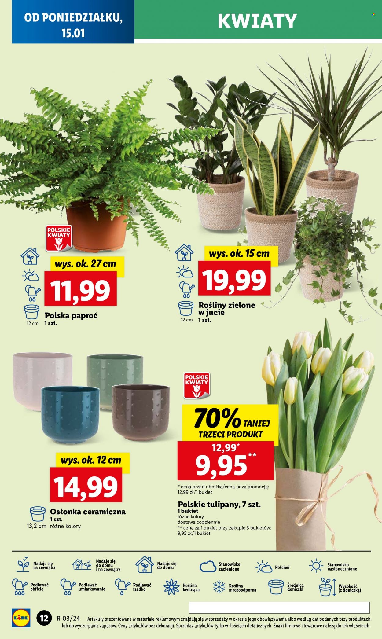Gazetka Lidl - 15.01.2024 - 17.01.2024. Strona 12