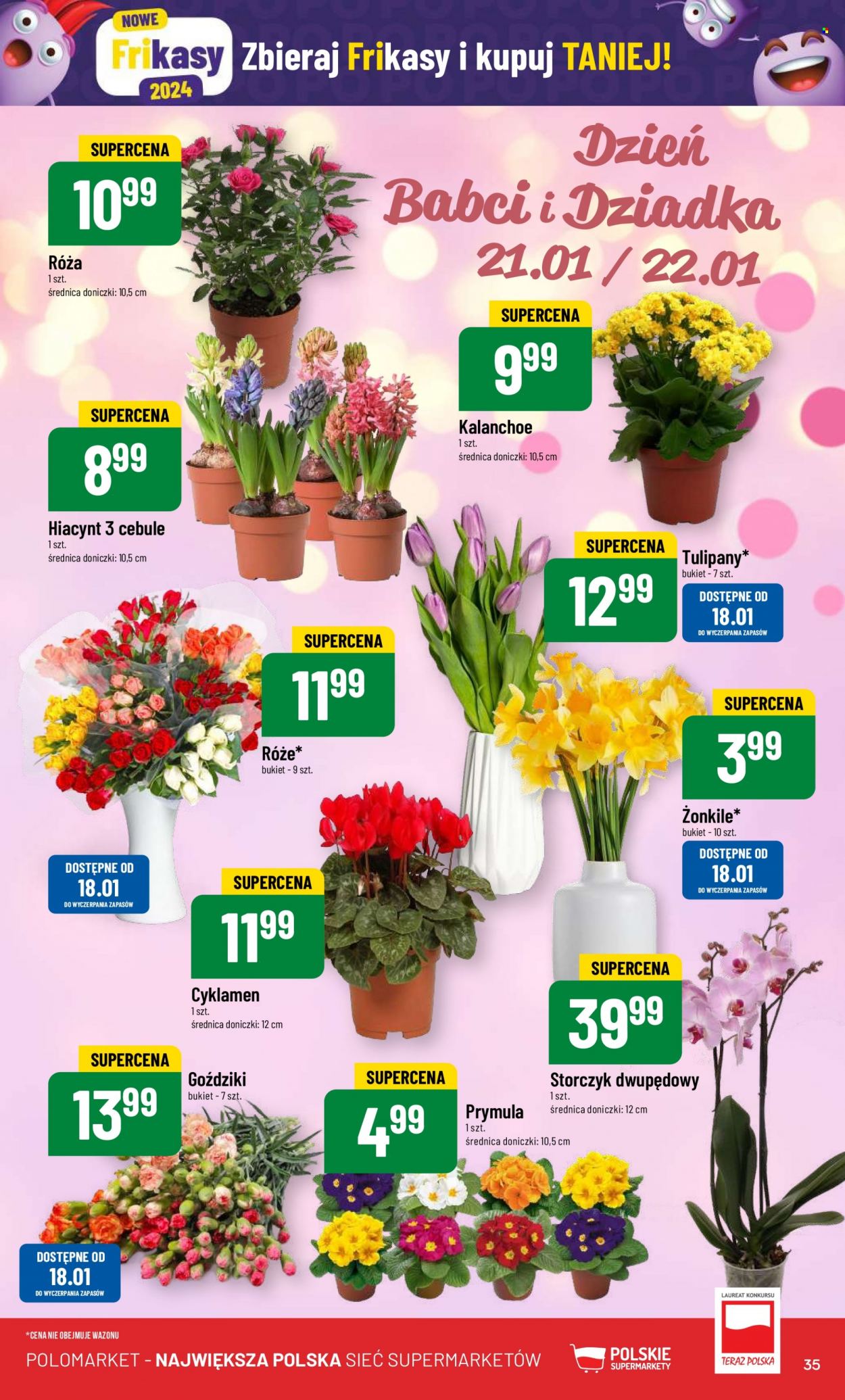 Gazetka Polomarket - 17.01.2024 - 23.01.2024. Strona 35