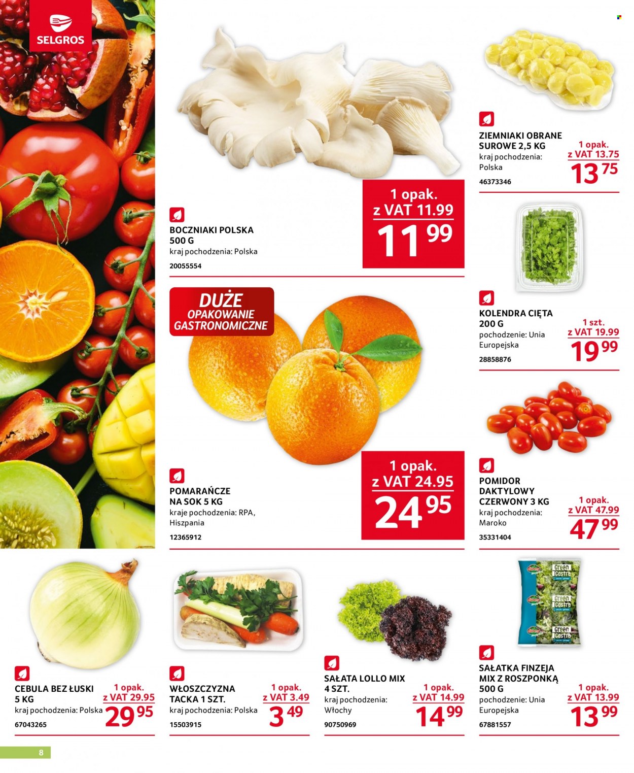 Gazetka Selgros - 18.01.2024 - 31.01.2024. Strona 8
