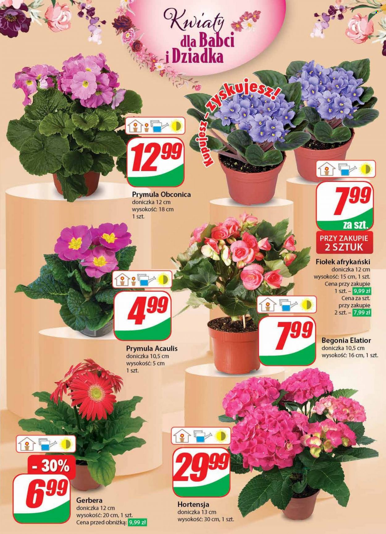 Gazetka Dino - 17.01.2024 - 23.01.2024. Strona 49