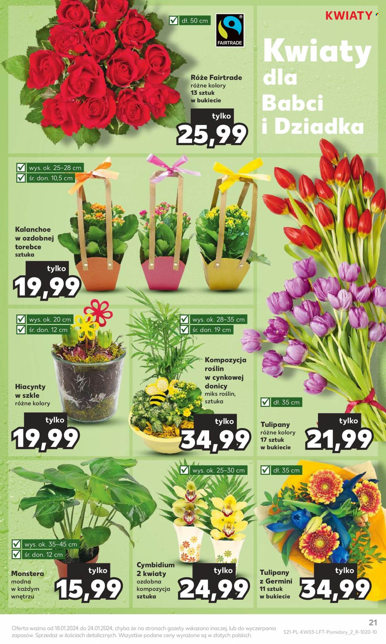 Gazetka Kaufland - 18.01.2024 - 24.01.2024. Strona 21