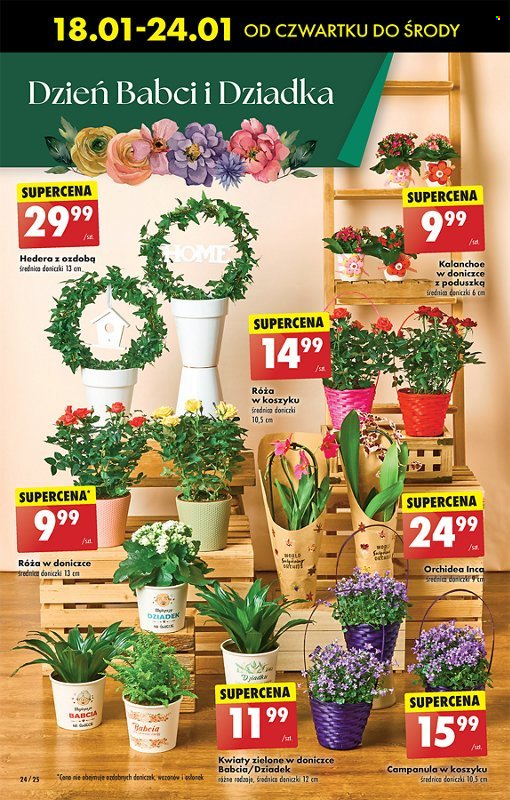 Gazetka Biedronka - 18.01.2024 - 24.01.2024. Strona 26