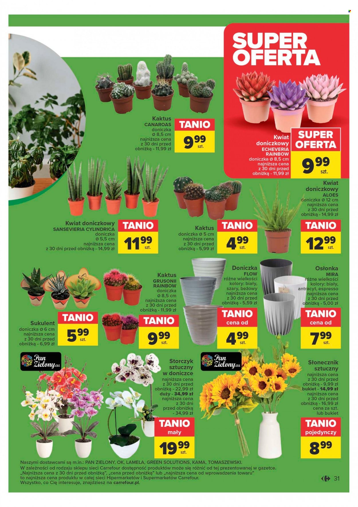 Gazetka Carrefour - 23.01.2024 - 3.02.2024. Strona 33