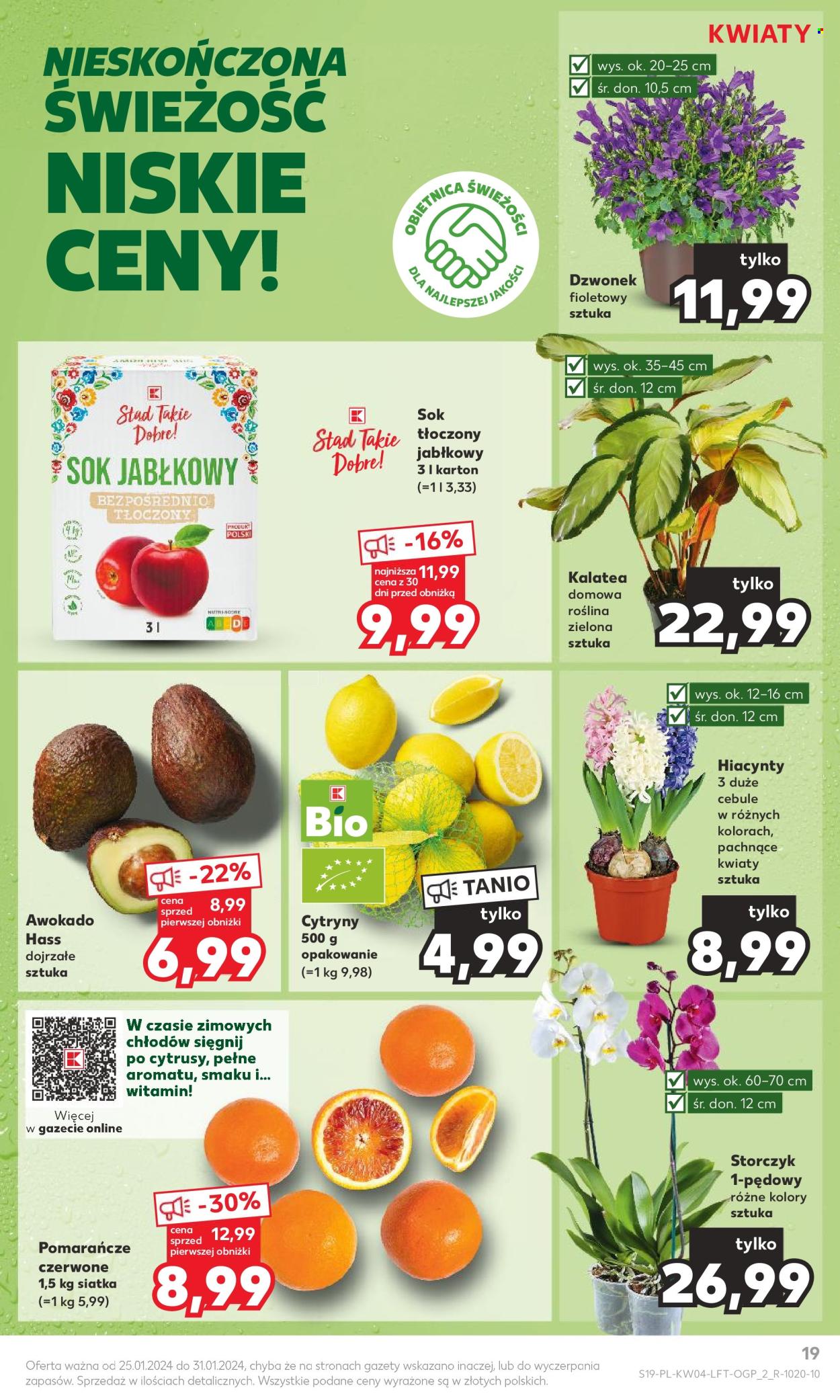 Gazetka Kaufland - 25.01.2024 - 31.01.2024. Strona 19