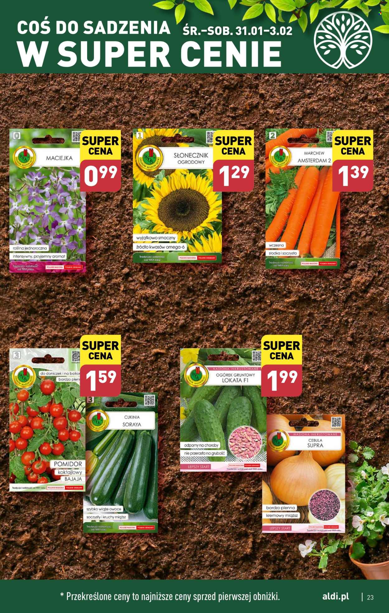 Gazetka ALDI - 29.01.2024 - 3.02.2024. Strona 23