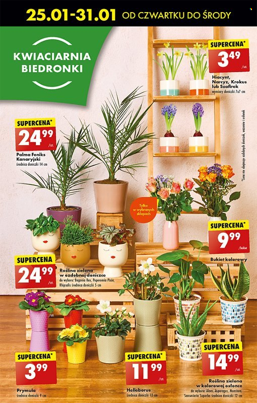 Gazetka Biedronka - 25.01.2024 - 31.01.2024. Strona 26