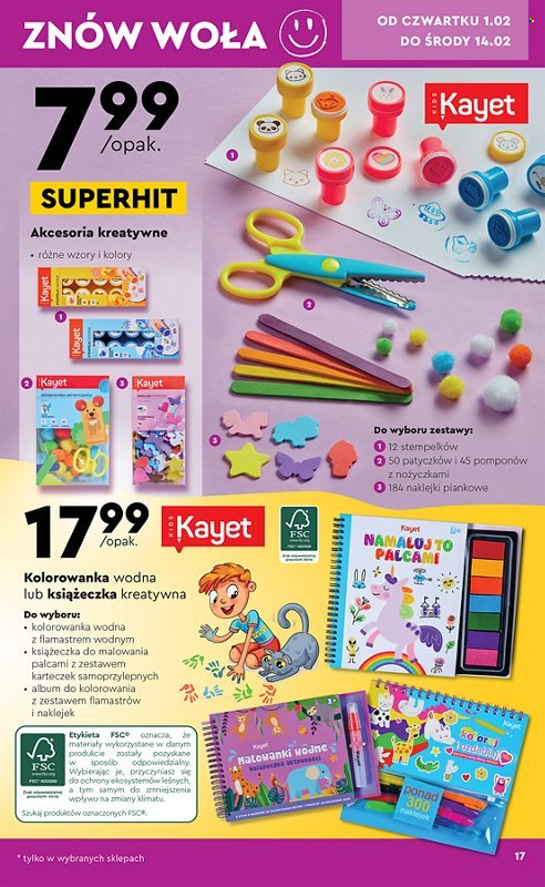 Gazetka Biedronka - 29.01.2024 - 14.02.2024. Strona 17