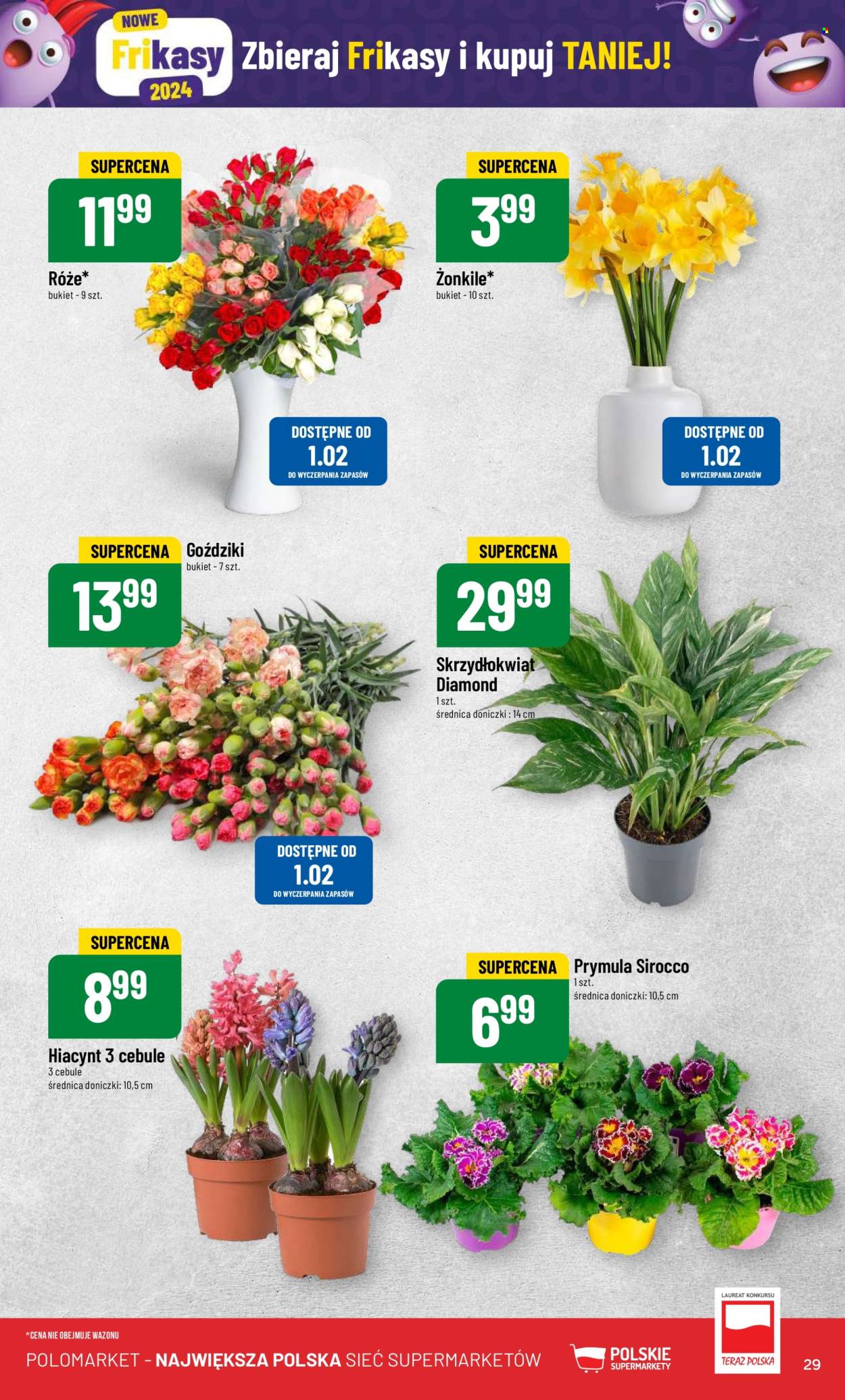 Gazetka Polomarket - 31.01.2024 - 6.02.2024. Strona 29