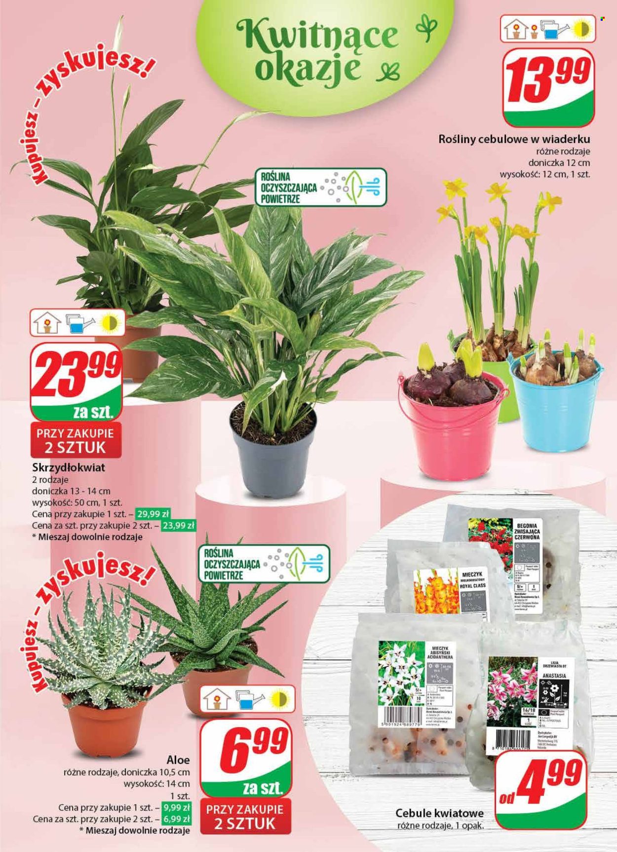 Gazetka Dino - 31.01.2024 - 6.02.2024. Strona 45