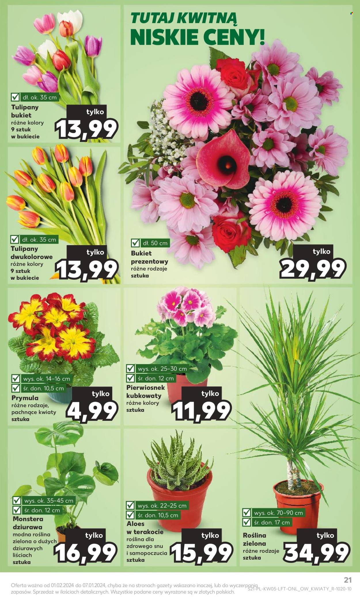 Gazetka Kaufland - 1.02.2024 - 7.02.2024. Strona 21