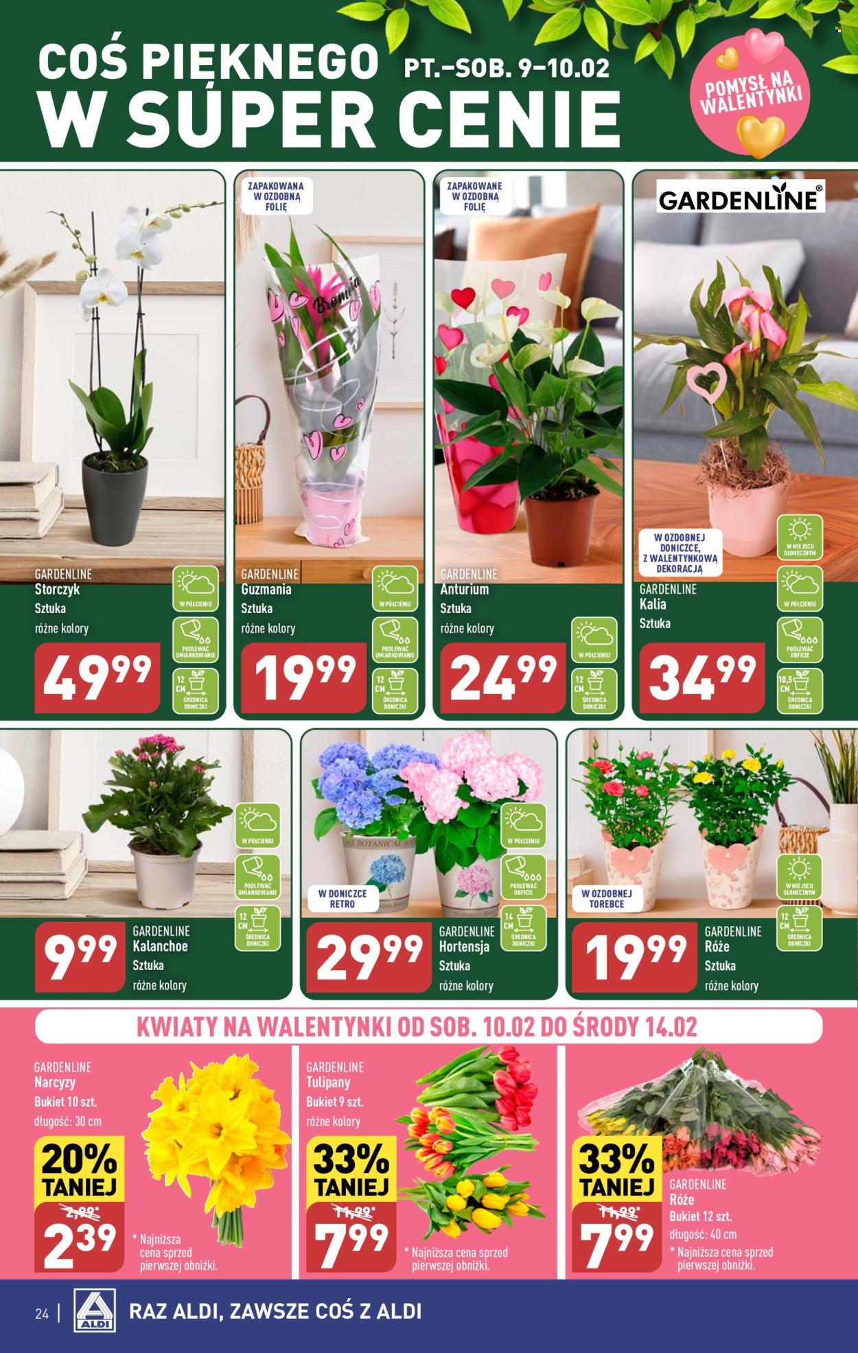 Gazetka ALDI - 5.02.2024 - 10.02.2024. Strona 24