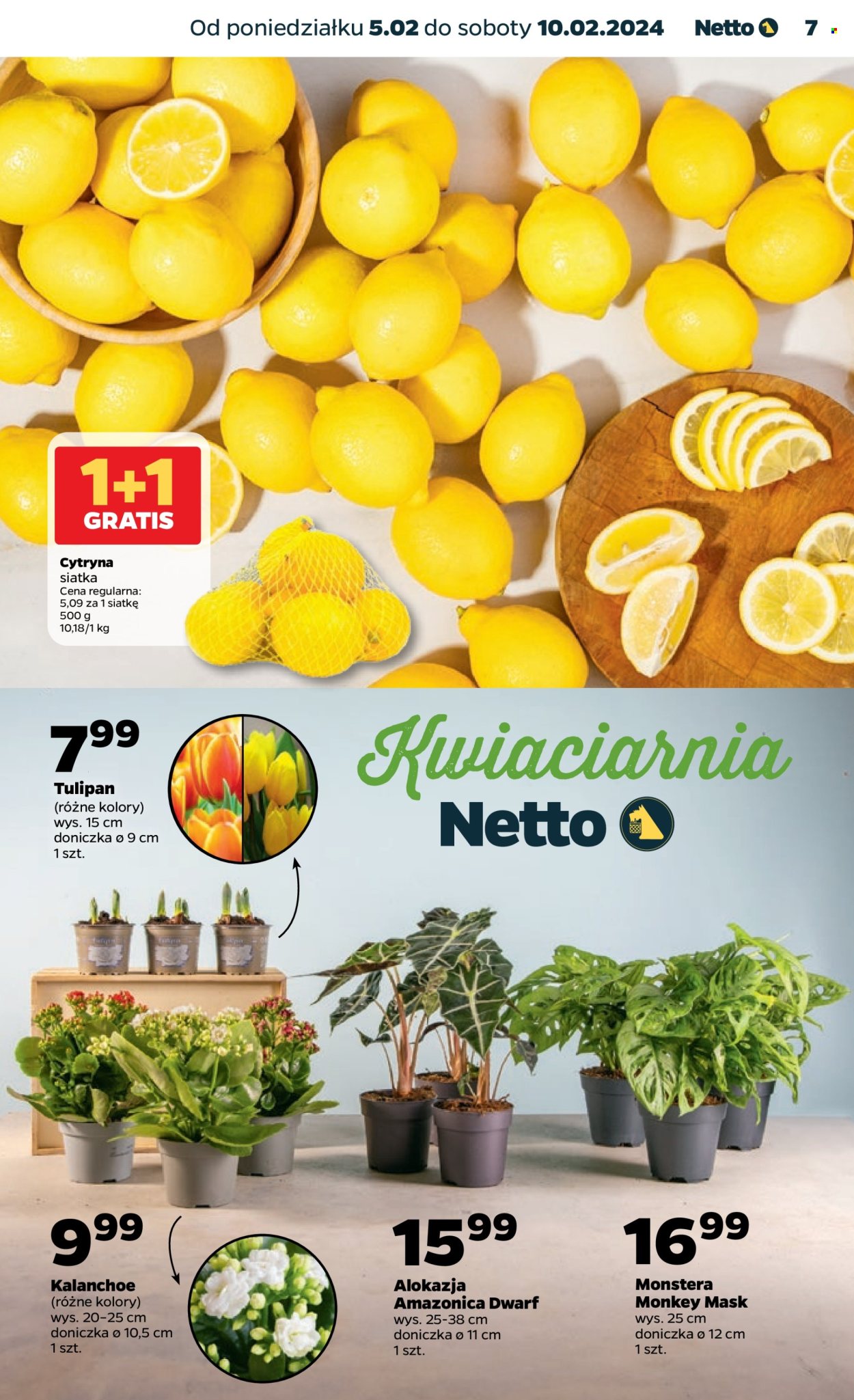 Gazetka Netto - 5.02.2024 - 10.02.2024. Strona 7