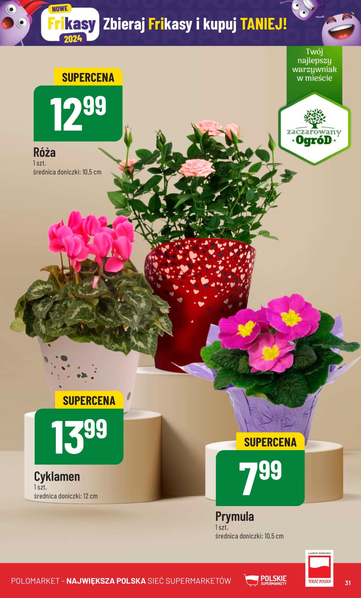 Gazetka Polomarket - 14.02.2024 - 20.02.2024. Strona 31
