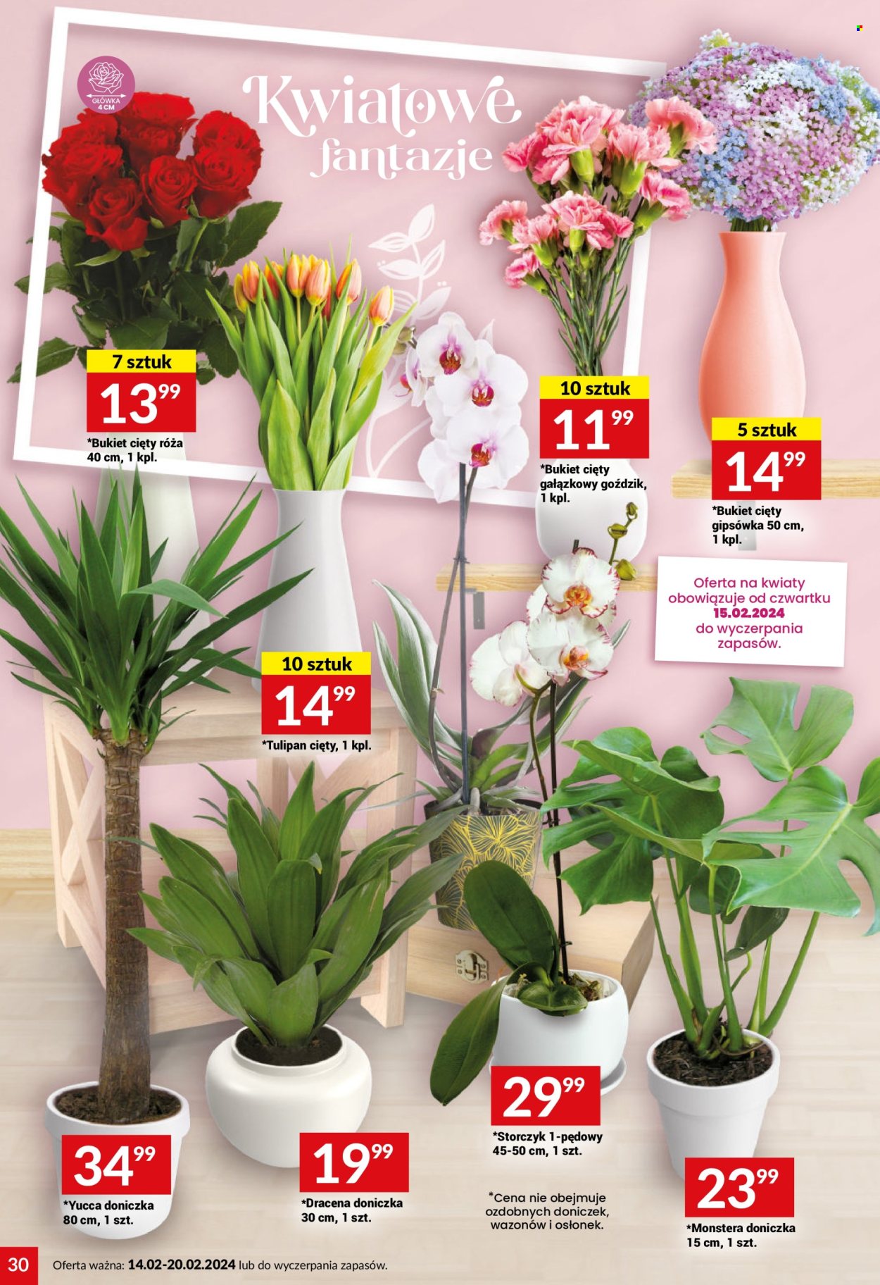 Gazetka Twój Market - 14.02.2024 - 20.02.2024. Strona 30