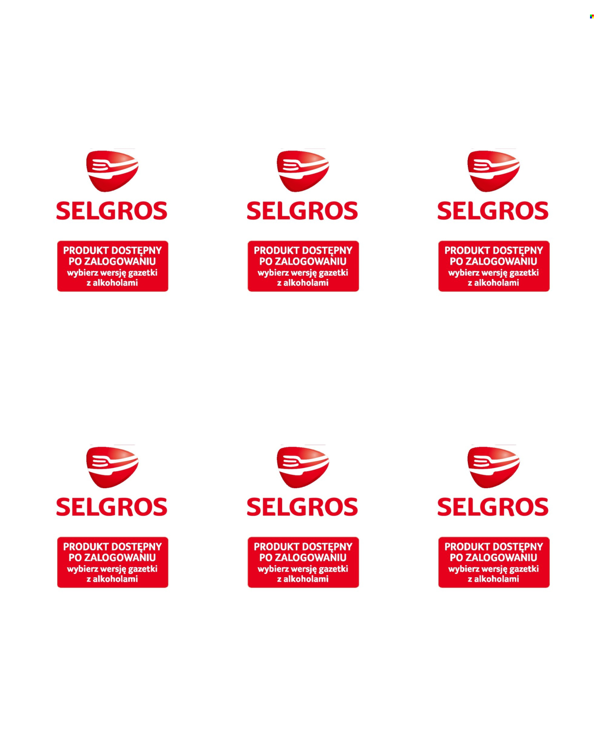 Gazetka Selgros - 15.02.2024 - 28.02.2024. Strona 19