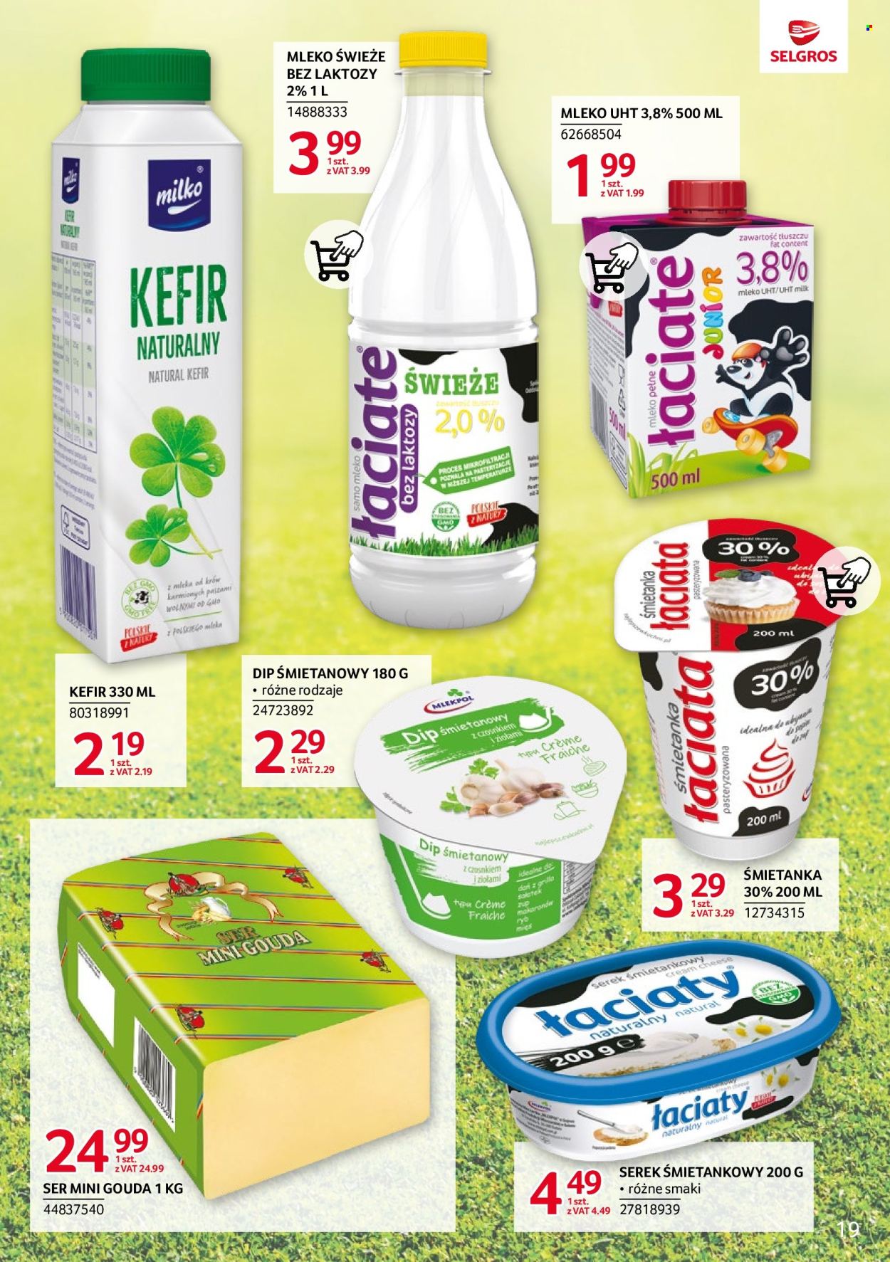 Gazetka Selgros - 15.02.2024 - 28.02.2024. Strona 19