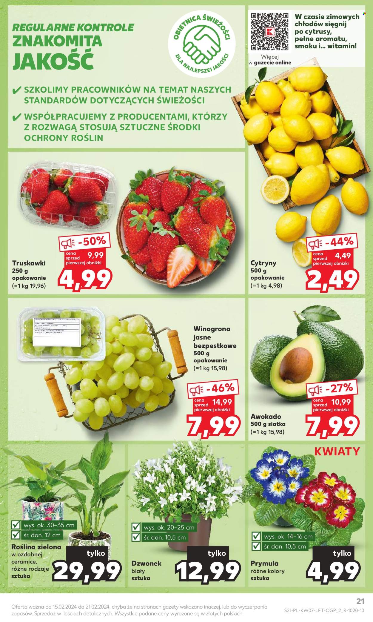 Gazetka Kaufland - 15.02.2024 - 21.02.2024. Strona 21