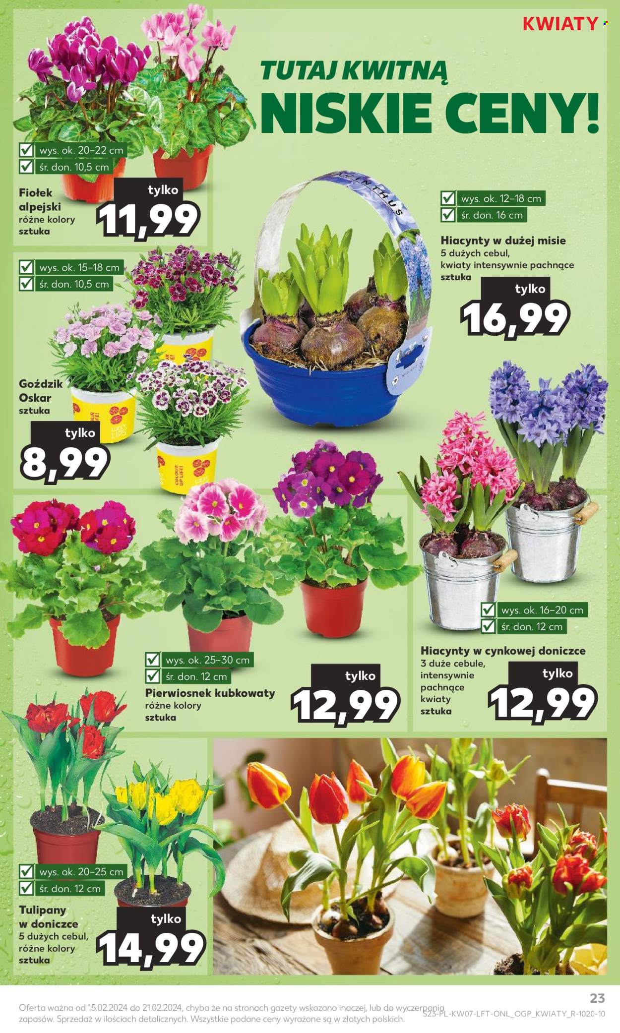 Gazetka Kaufland - 15.02.2024 - 21.02.2024. Strona 23
