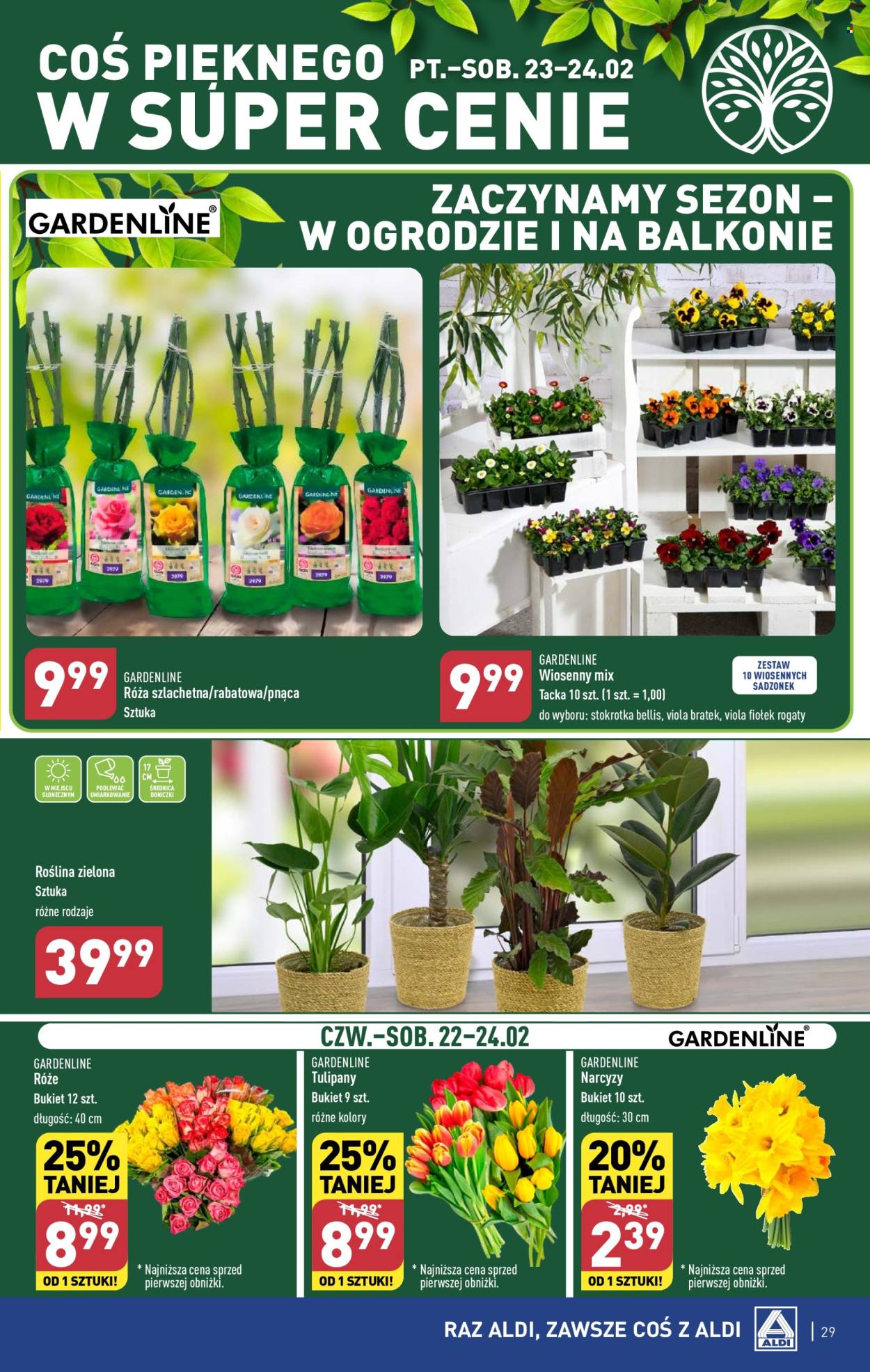 Gazetka ALDI - 19.02.2024 - 24.02.2024. Strona 29