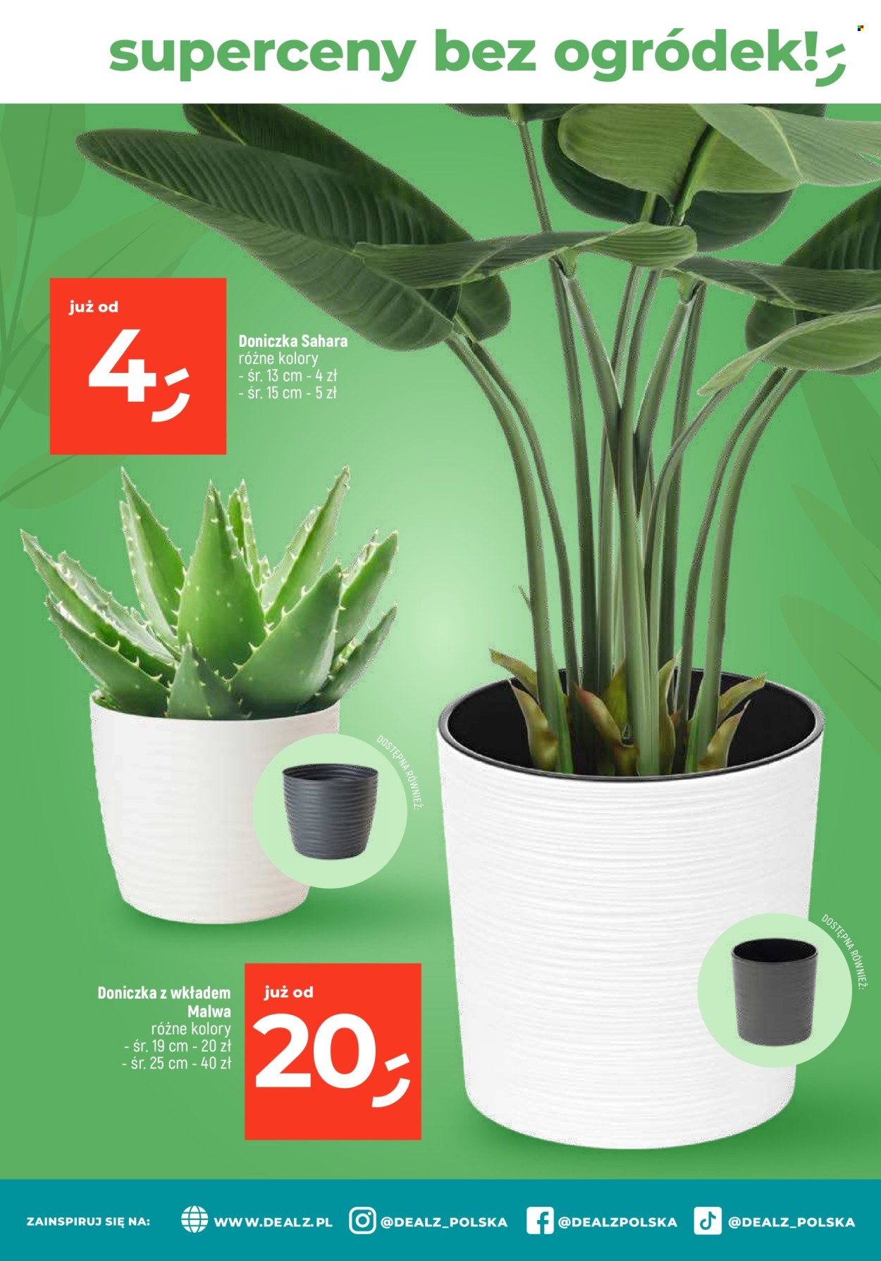 Gazetka Dealz - 15.02.2024 - 21.02.2024. Strona 24