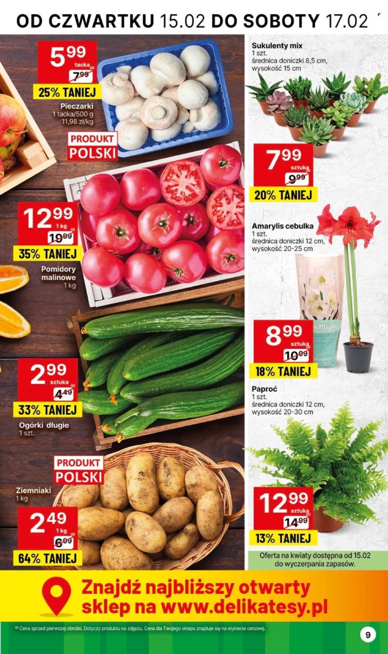 Gazetka Delikatesy Centrum - 15.02.2024 - 21.02.2024. Strona 9