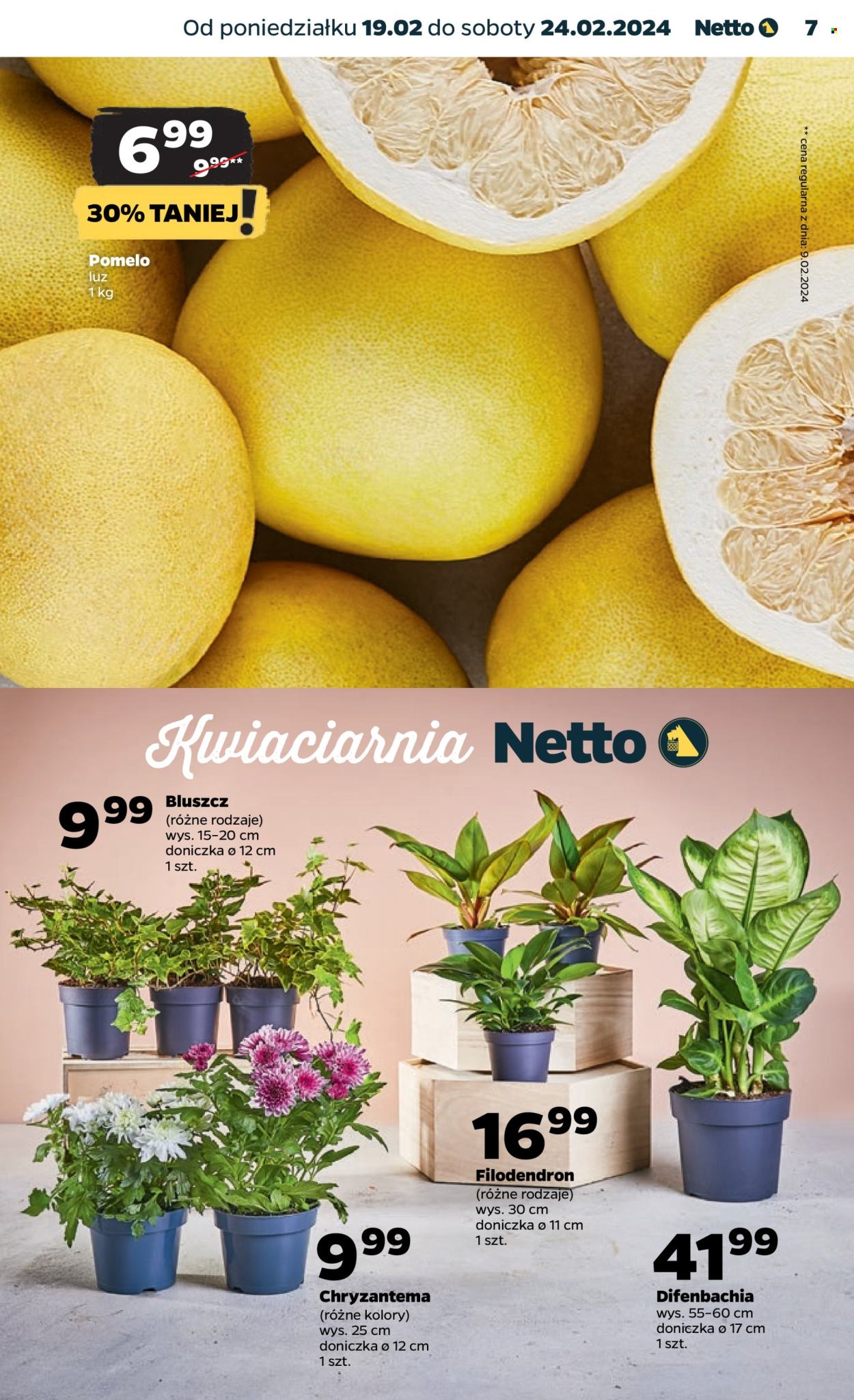 Gazetka Netto - 19.02.2024 - 24.02.2024. Strona 7