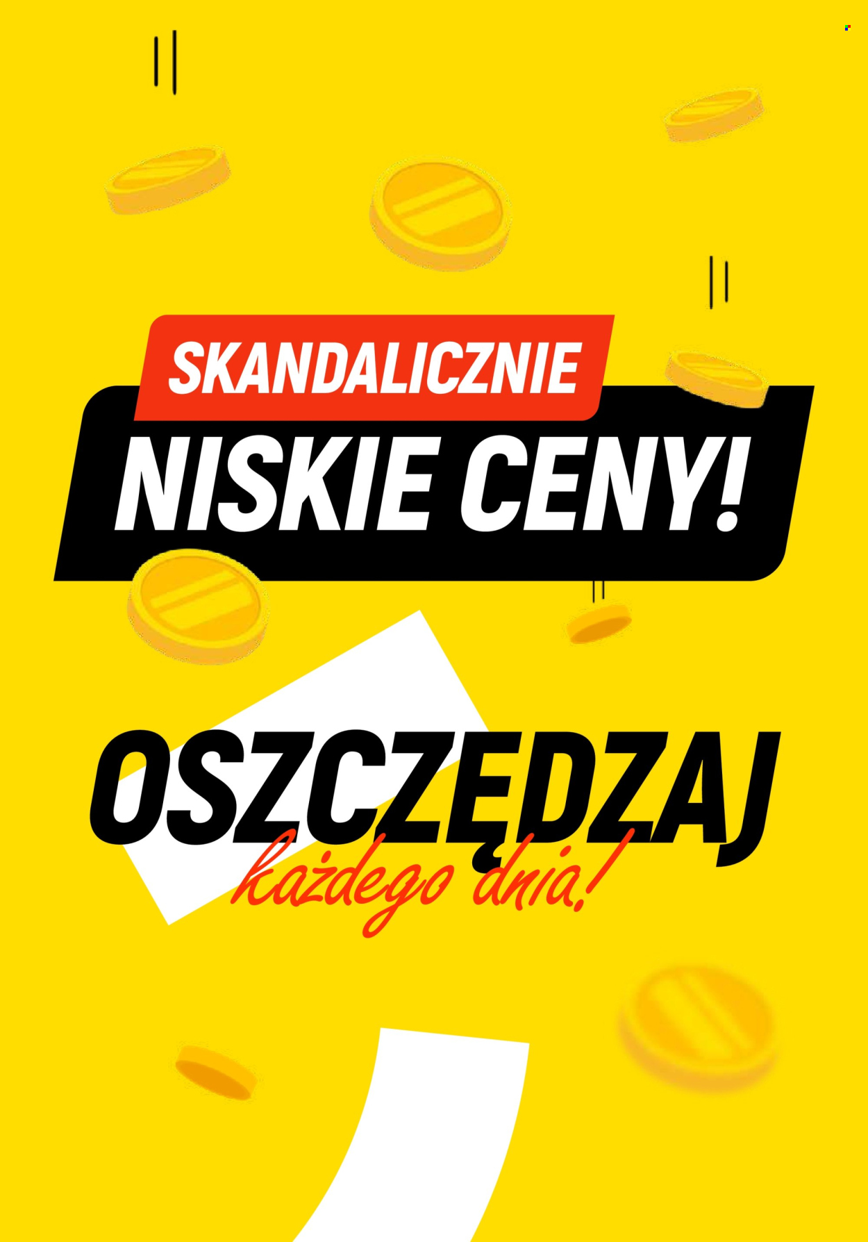 Gazetka Dealz - 19.02.2024 - 21.02.2024. Strona 6