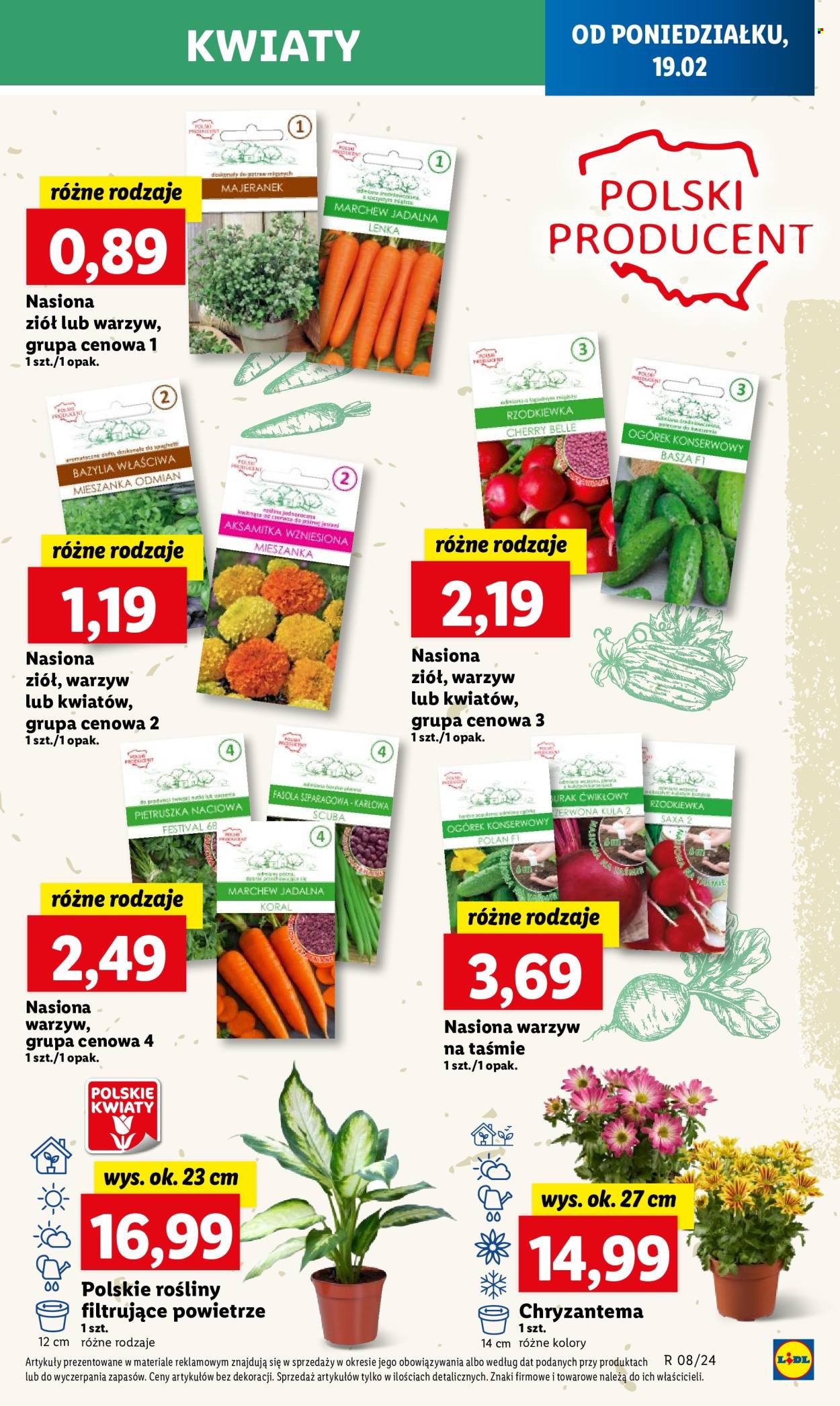 Gazetka Lidl - 19.02.2024 - 21.02.2024. Strona 55