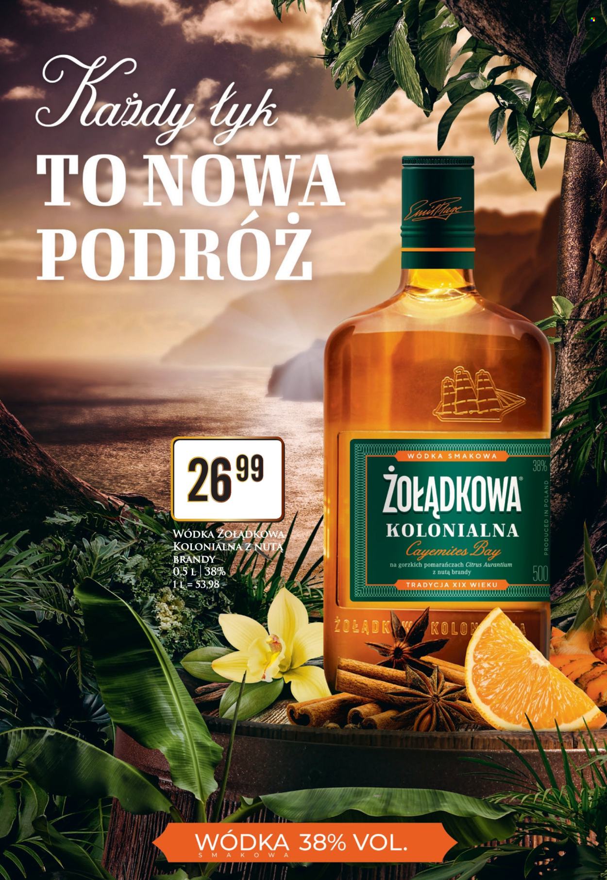 Gazetka Dino - 19.02.2024 - 24.02.2024. Strona 8