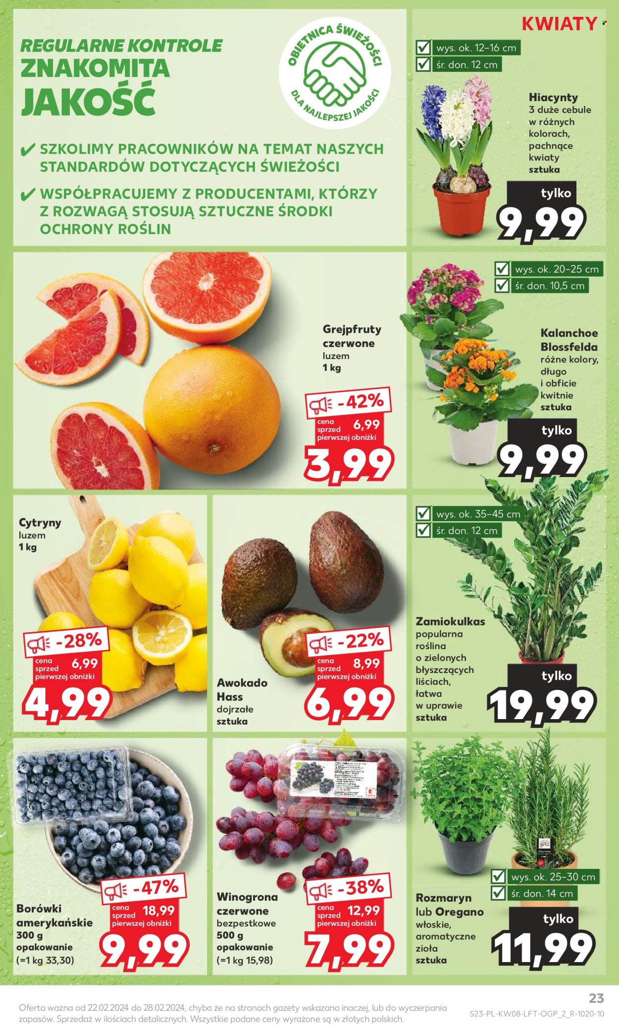 Gazetka Kaufland - 22.02.2024 - 28.02.2024. Strona 23