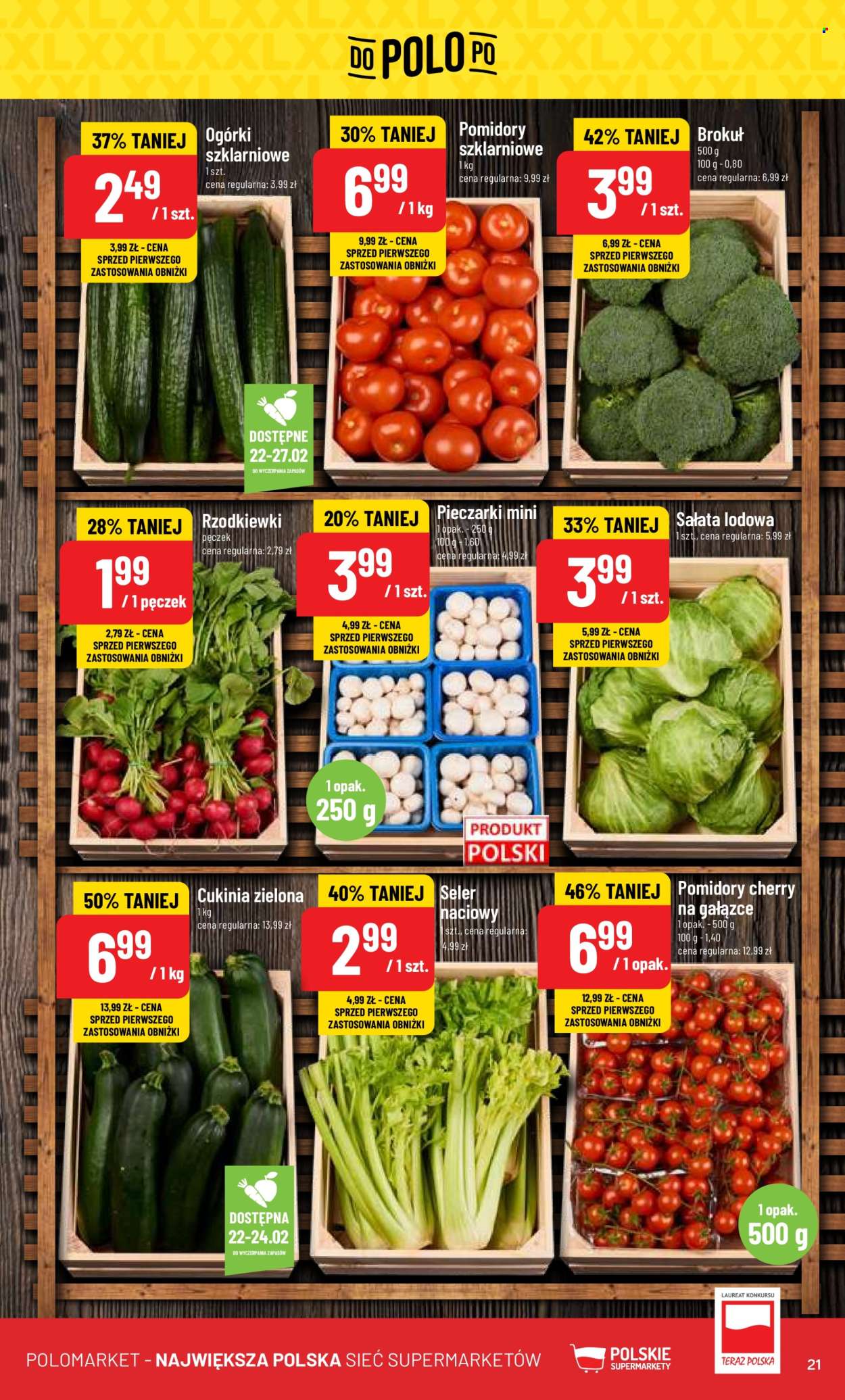 Gazetka Polomarket - 21.02.2024 - 27.02.2024. Strona 21
