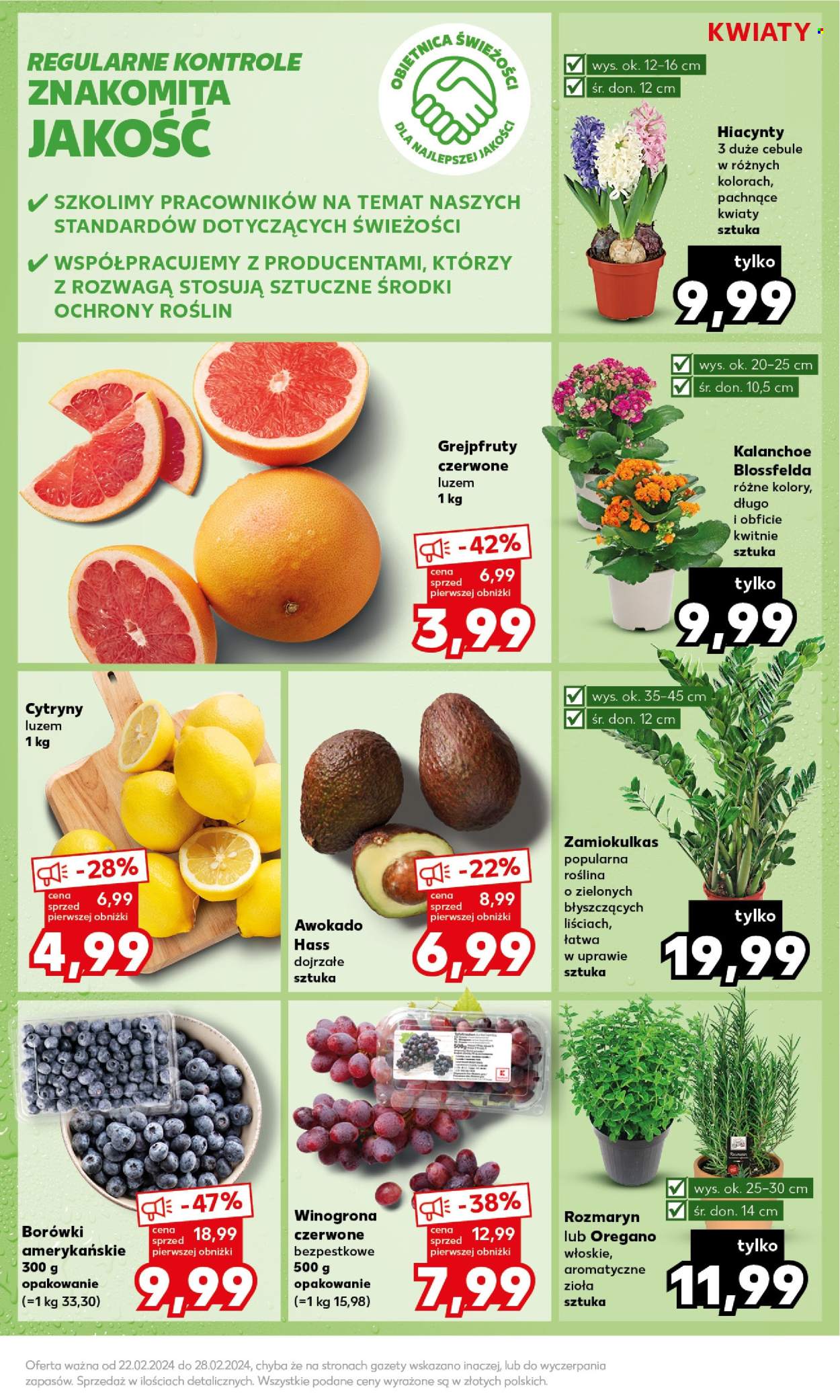 Gazetka Kaufland - 26.02.2024 - 28.02.2024. Strona 17
