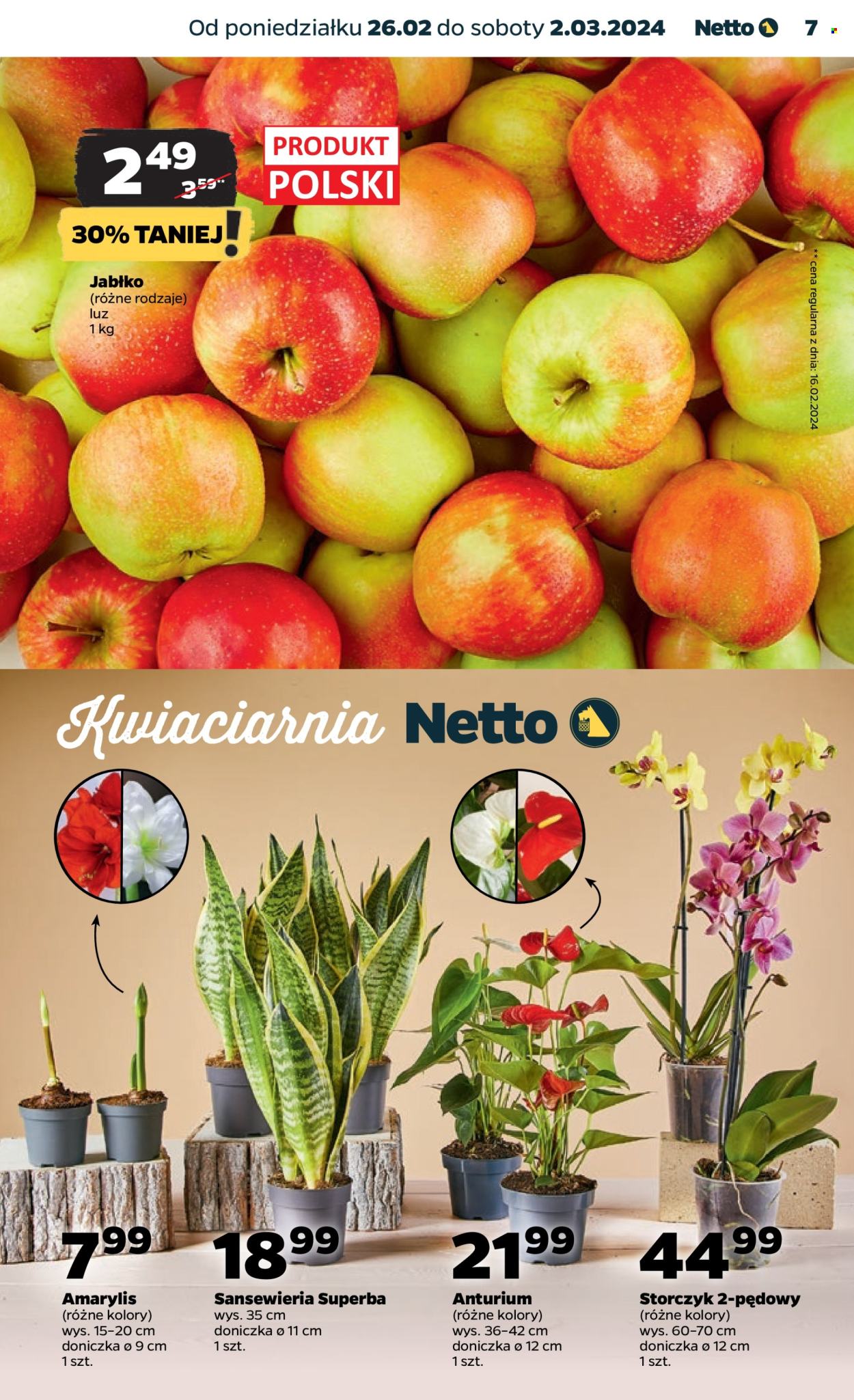 Gazetka Netto - 26.02.2024 - 2.03.2024. Strona 7
