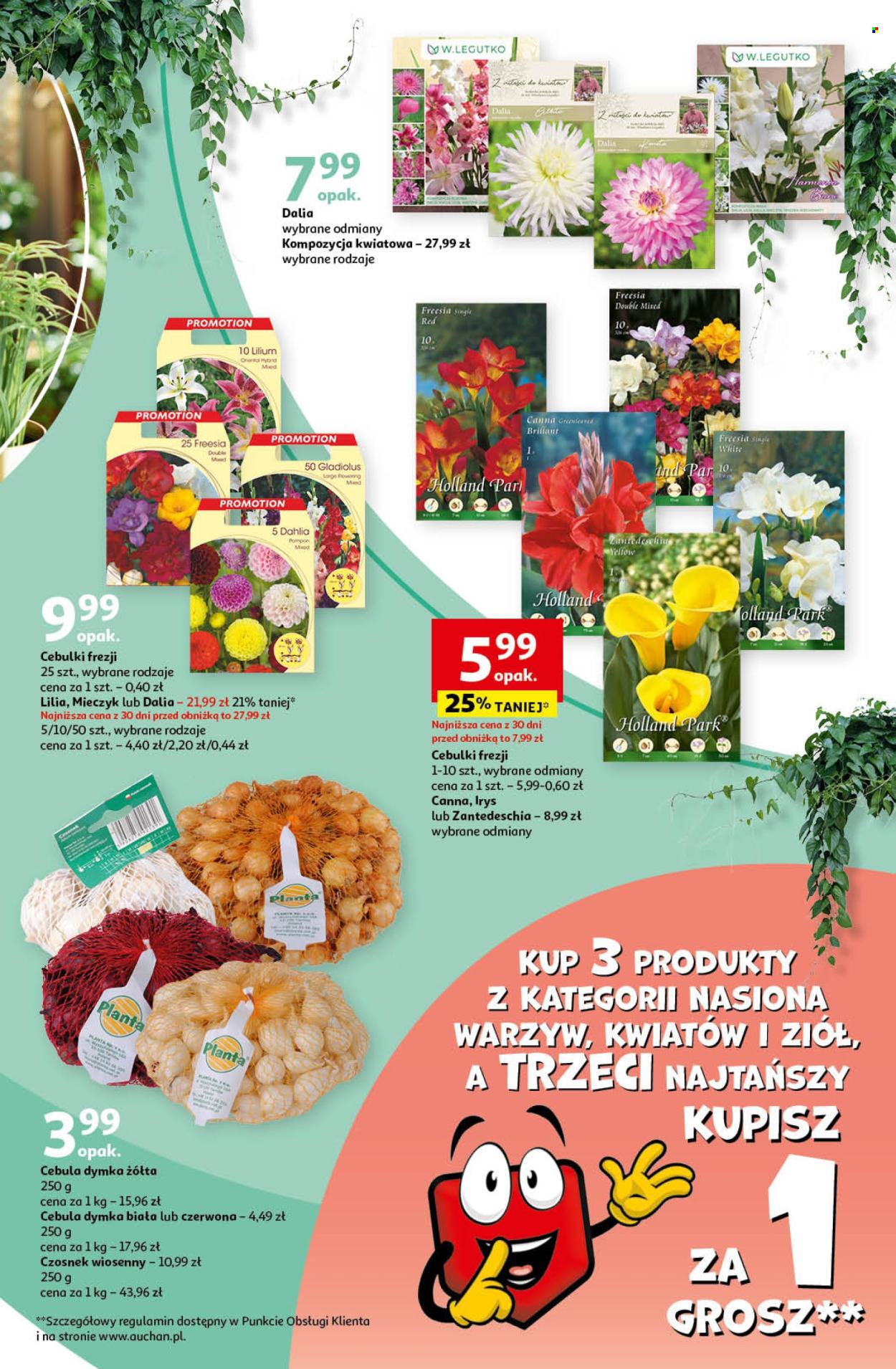 Gazetka Auchan - 29.02.2024 - 6.03.2024. Strona 39