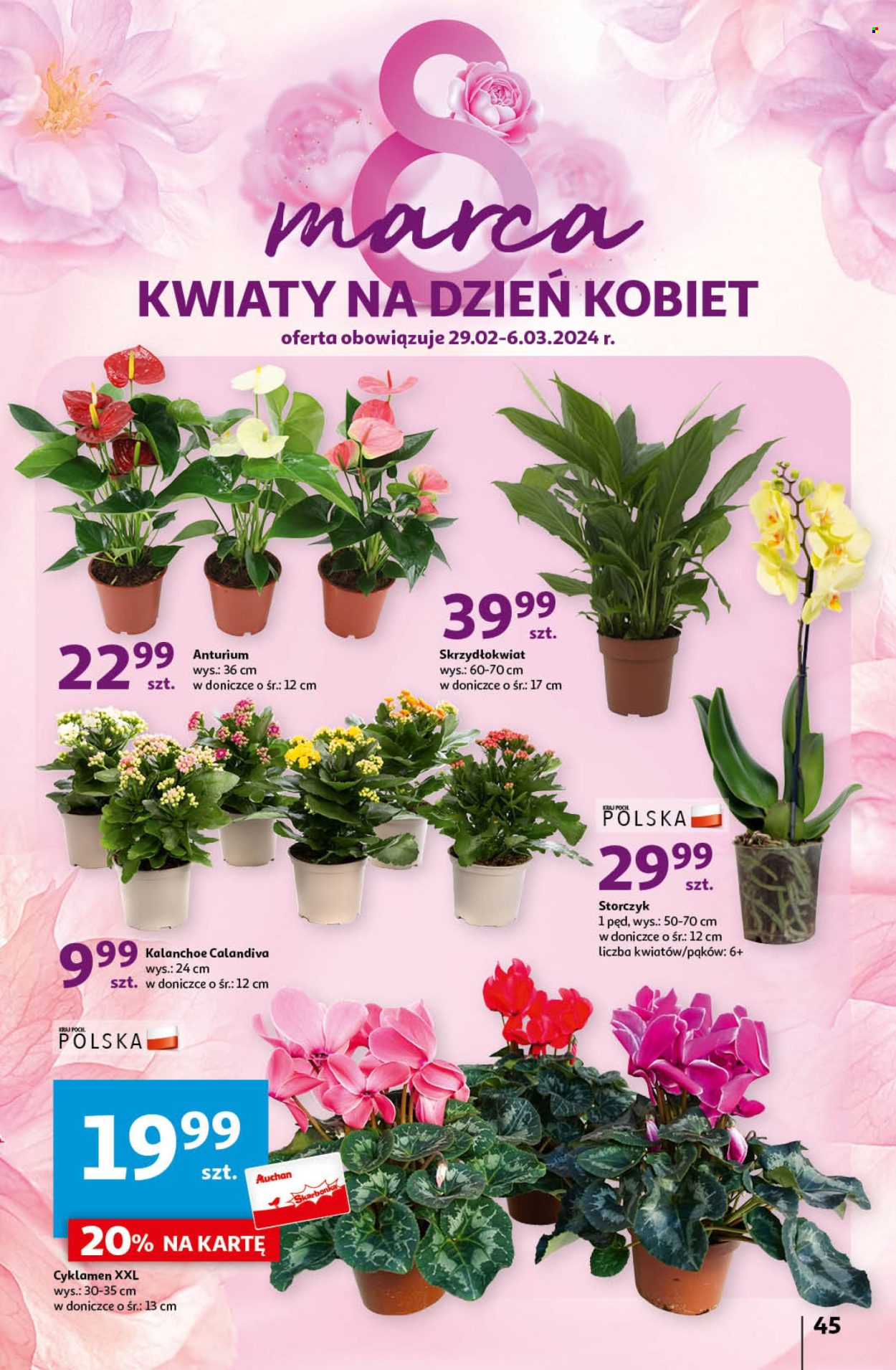 Gazetka Auchan - 29.02.2024 - 6.03.2024. Strona 45
