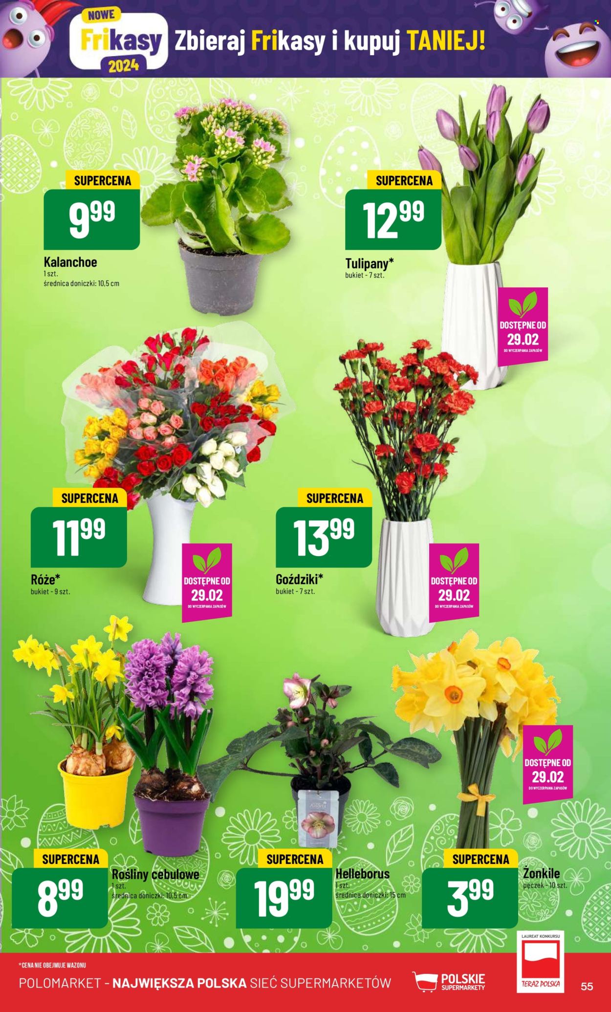 Gazetka Polomarket - 28.02.2024 - 5.03.2024. Strona 55