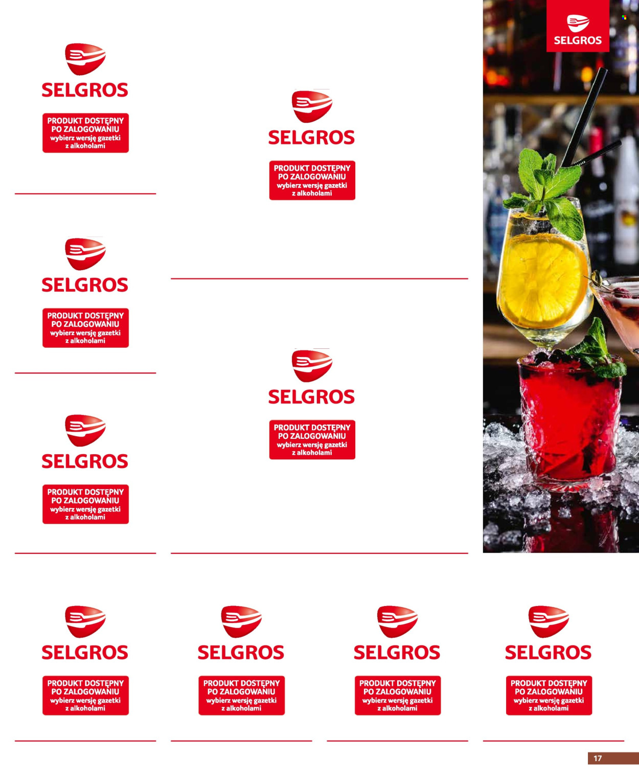 Gazetka Selgros - 29.02.2024 - 6.03.2024. Strona 17