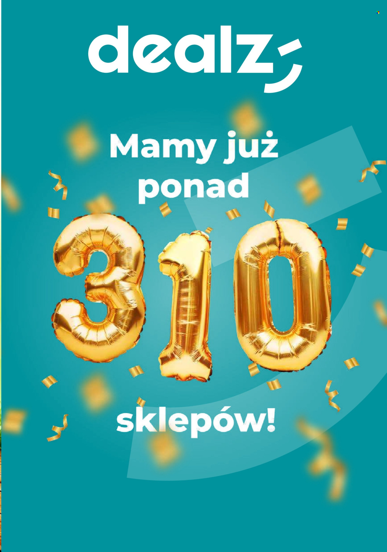 Gazetka Dealz - 29.02.2024 - 6.03.2024. Strona 19